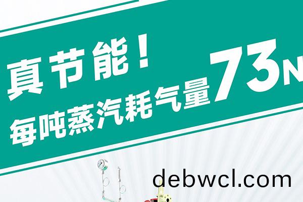 蒸(zheng)汽(qi)發(fā)(fa)生器源(yuan)頭(tou)廠(chang)家(jia)直(zhi)銷哪家靠譜(pu)？